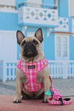 Load image into Gallery viewer, Adjustable Harness - Santa Monica