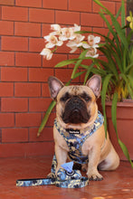 Load image into Gallery viewer, Poop Bag Holder - Bangkok