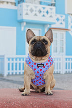 Load image into Gallery viewer, Adjustable Harness - Huelva