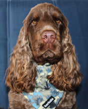 Load image into Gallery viewer, Bandana - Bangkok