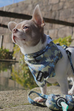 Load image into Gallery viewer, Bandana - Bangkok