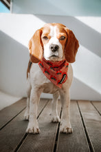 Load image into Gallery viewer, Bandana - Santa Fe