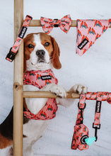 Load image into Gallery viewer, Total Look Bundle 6 Accessories - Santa Fe