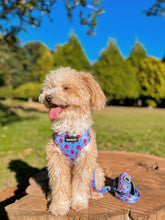 Load image into Gallery viewer, Harness Bundle 3 Accessories - Huelva