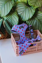 Load image into Gallery viewer, Total Look Bundle 6 Accessories - Huelva