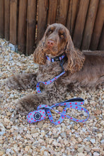 Load image into Gallery viewer, Adjustable Collar - Huelva