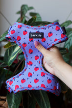 Load image into Gallery viewer, Total Look Bundle 6 Accessories - Huelva