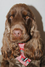 Load image into Gallery viewer, Bandana - Santa Fe