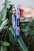 Load image into Gallery viewer, Collar Bundle 3 Accessories - Huelva