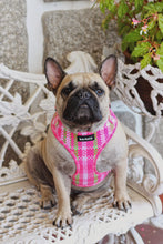 Load image into Gallery viewer, Adjustable Harness - Santa Monica