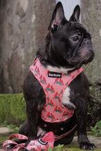 Load image into Gallery viewer, Leash - Santa Fe