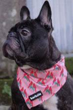 Load image into Gallery viewer, Bandana - Santa Fe