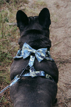 Load image into Gallery viewer, Bow Tie - Bangkok