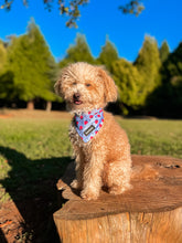 Load image into Gallery viewer, Bandana - Huelva