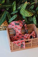 Load image into Gallery viewer, Total Look Bundle 6 Accessories - Santa Fe