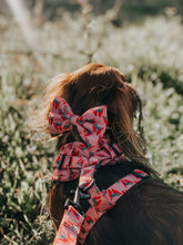 Load image into Gallery viewer, Bow Tie - Santa Fe