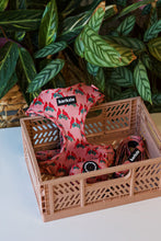 Load image into Gallery viewer, Harness Bundle 3 Accessories - Santa Fe