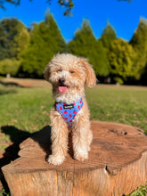 Load image into Gallery viewer, Adjustable Harness - Huelva