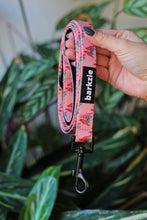 Load image into Gallery viewer, Leash - Santa Fe