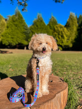 Load image into Gallery viewer, Collar Bundle 3 Accessories - Huelva