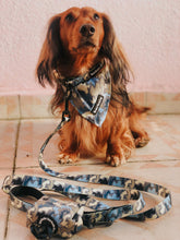 Load image into Gallery viewer, Collar Bundle 3 Accessories - Bangkok