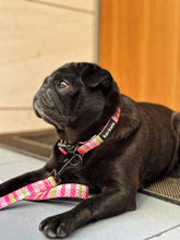 Load image into Gallery viewer, Adjustable Collar - Santa Monica