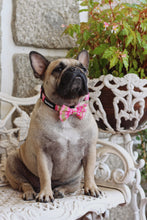 Load image into Gallery viewer, Bow Tie - Santa Monica