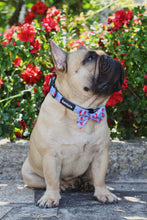 Load image into Gallery viewer, Bow Tie - Huelva