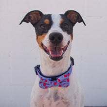 Load image into Gallery viewer, Bow Tie - Huelva