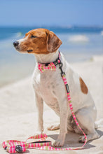 Load image into Gallery viewer, Bow Tie - Santa Monica