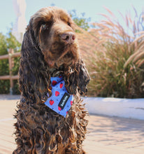 Load image into Gallery viewer, Bandana - Huelva