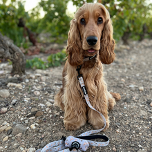 Load image into Gallery viewer, Collar Bundle 3 Accessories - Toronto