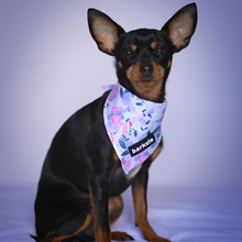 Load image into Gallery viewer, Bandana - Kyoto