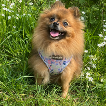 Load image into Gallery viewer, Adjustable Harness - Kyoto