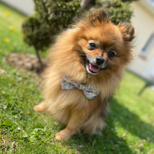 Load image into Gallery viewer, Bow Tie - Kyoto