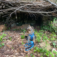 Load image into Gallery viewer, Leash - Nice