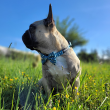 Load image into Gallery viewer, Bow Tie - Nice