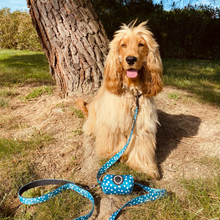 Load image into Gallery viewer, Poop Bag Holder - Nice