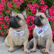 Load image into Gallery viewer, Bow Tie - Kyoto