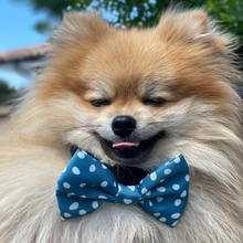 Load image into Gallery viewer, Bow Tie - Nice