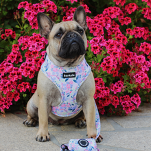 Load image into Gallery viewer, Adjustable Harness - Kyoto