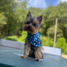 Load image into Gallery viewer, Bandana - Nice