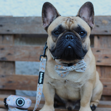 Load image into Gallery viewer, Bow Tie - Toronto