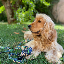 Load image into Gallery viewer, Leash - Bogota