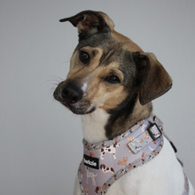 Load image into Gallery viewer, Adjustable Harness - Toronto