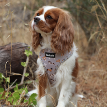 Load image into Gallery viewer, Adjustable Harness - Toronto