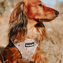 Load image into Gallery viewer, Adjustable Harness - Toronto