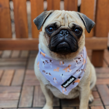 Load image into Gallery viewer, Bandana - Toronto