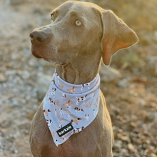 Load image into Gallery viewer, Bandana - Toronto