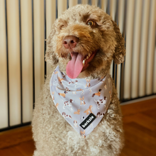 Load image into Gallery viewer, Bandana - Toronto